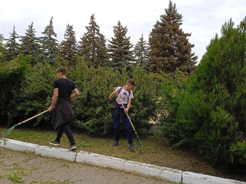 Волонтерское движение.